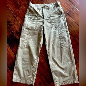 Agolde cropped wide leg pants